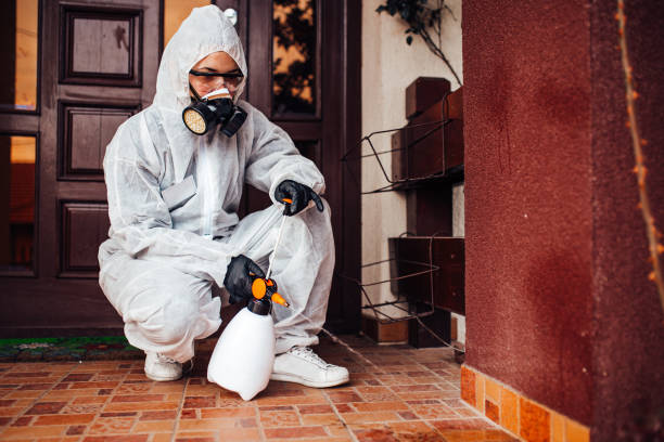 Reliable Cockroach Control contractor in Florence, SC by Nex Pest Control